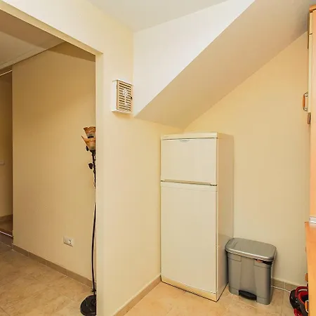 025 Sunny Oasis - Alicante