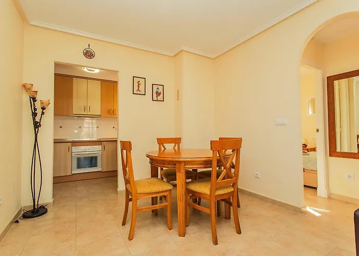 025 Sunny Oasis - Alicante *